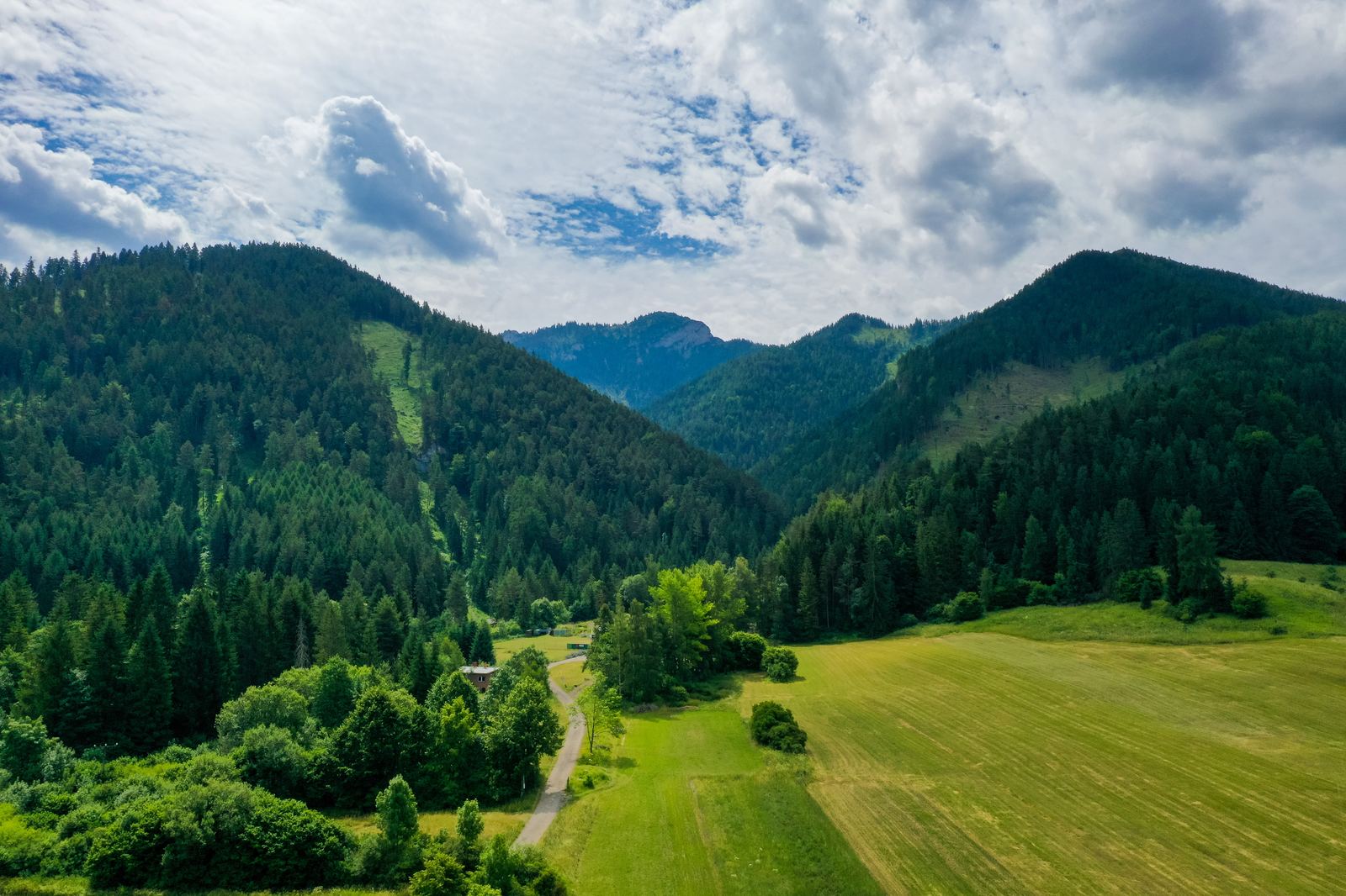 Horské údolie a lesy v Nízkych Tatrách